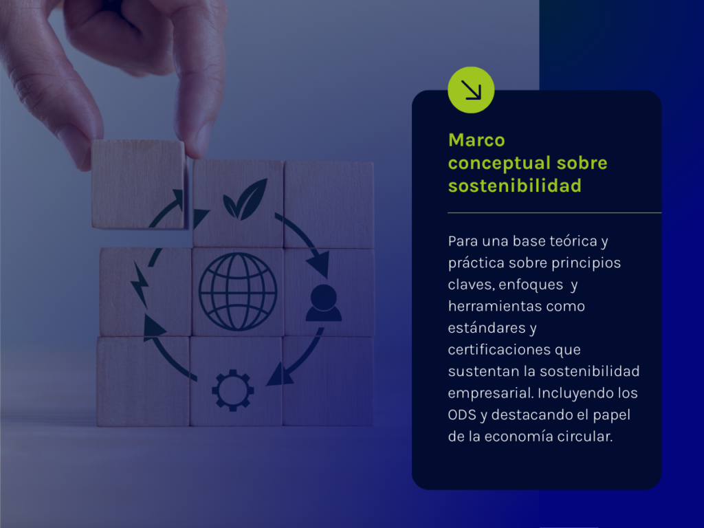 Marco conceptual sobre sostenibilidad: Para una base teórica y práctica sobre principios claves, enfoques y herramientas como estándares y certificaciones que sustentan la sostenibilidad empresarial. Incluyendo los ODS y destacando el papel de la economía circular.