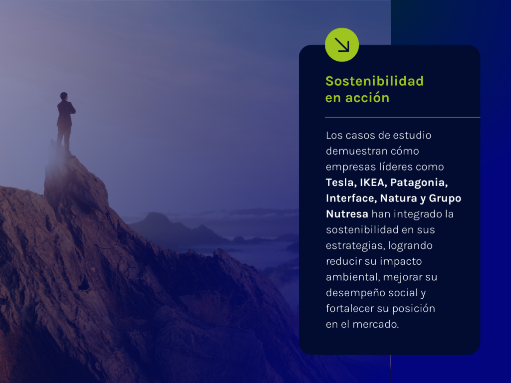 Los casos de estudio demuestran cómo empresas líderes como Tesla, IKEA, Patagonia, Interface, Natura y Grupo Nutresa han integrado la sostenibilidad en sus estrategias, logrando reducir su impacto ambiental, mejorar su desempeño social y fortalecer su posición en el mercado.